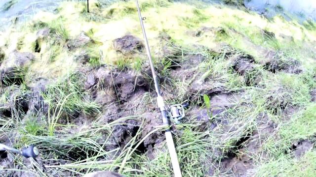 Карась на удочки.река Ахманка 6 07 18 смотреть онлайн