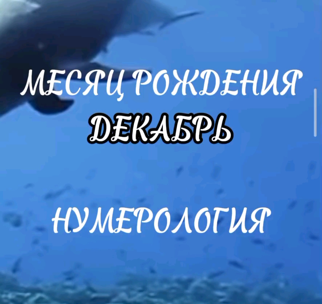 Месяц рождения ДЕКАБРЬ
Нумерология
Родовая задача.