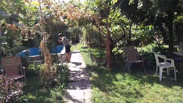У Олега дома (на даче) смотреть онлайн