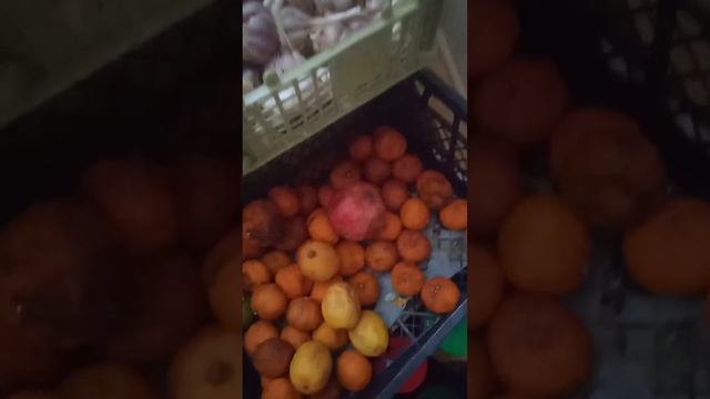 Как долго хранится озимый чеснок. Видео ответ Наталье Маханëвой. смотреть онлайн