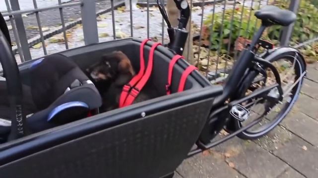 7 уникальных велосипедов mp4 смотреть онлайн