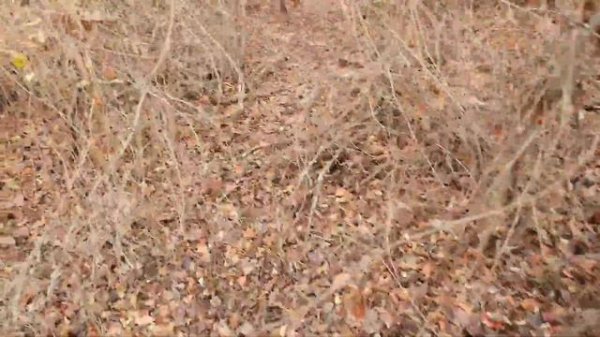 ЗАБРОШЕНОЕ Украинское село