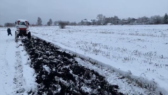 Поздняя вспашка на Т-25 / Заморозка сорняков/ Вспашка зимой смотреть онлайн