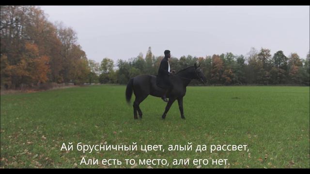 Мы идём с конём смотреть онлайн