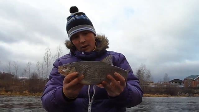 хищный исетский ноябрьский ЯЗЬ (поймал Макс) 03/11/2013 смотреть онлайн