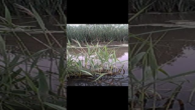 я на рыбалке смотреть онлайн