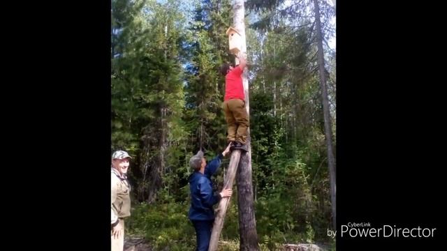 Вешаю скворечник для птиц?? смотреть онлайн