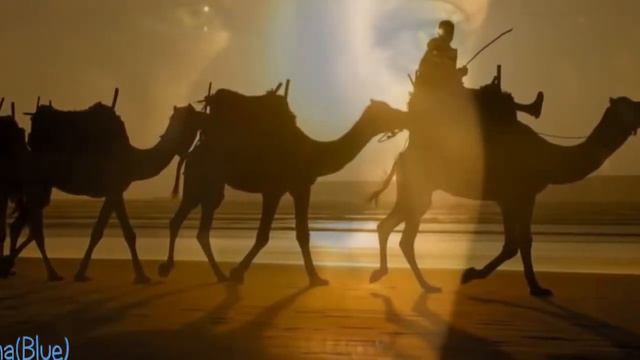من قصيدة أبن الرومي في وحيد (نسخة مؤثرات موسيقية) смотреть онлайн