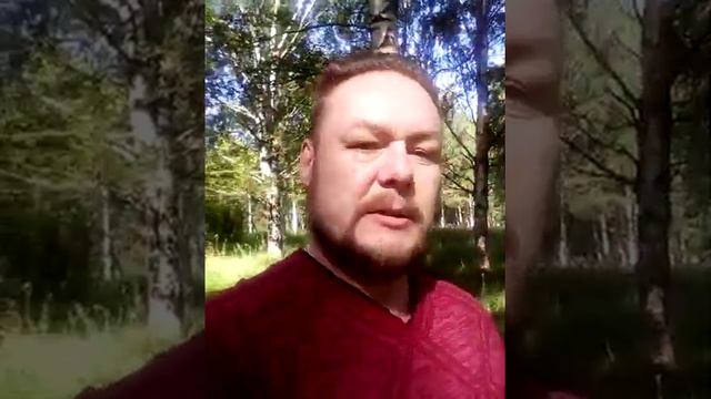 Романтические приключения