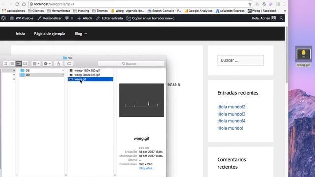 Cómo usar gifs en WordPress смотреть онлайн
