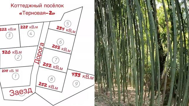 КП на Терновой смотреть онлайн
