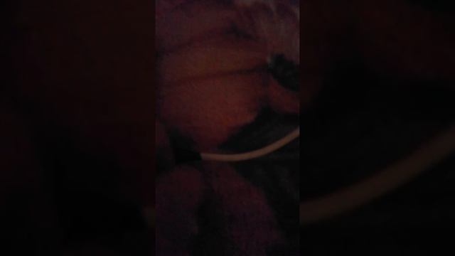 Айпад 1 смотреть онлайн