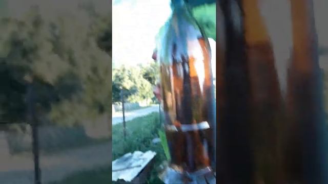 Пальма из бутылок легко и просто смотреть онлайн