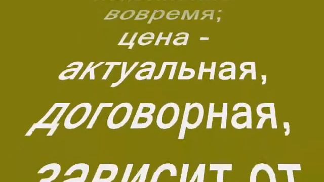 Гипсовые магниты под раскраску. Серия собачки 8 шт. Собачка 3. Картинки. смотреть онлайн