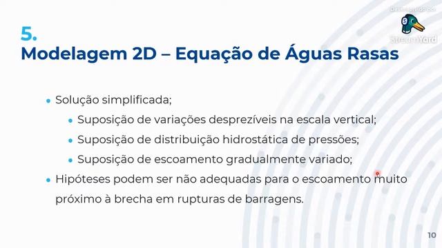 Modelagem Hidrodinâmica 2D e 3D смотреть онлайн