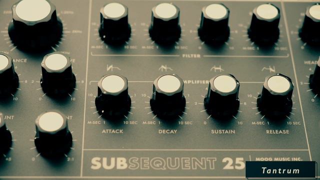 Moog Subsequent 25 & Sub Phatty: 64 Bass Patches/Presets смотреть онлайн