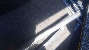 Установка/замена передних дворников на ВАЗ 2113, 2114, 2115