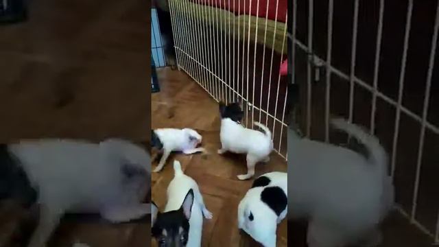 VID 20221110 WA0006 смотреть онлайн