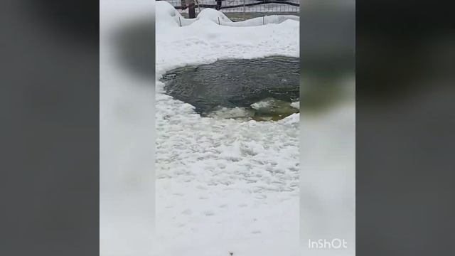 Поход в зоопарк:Лимпопо. смотреть онлайн