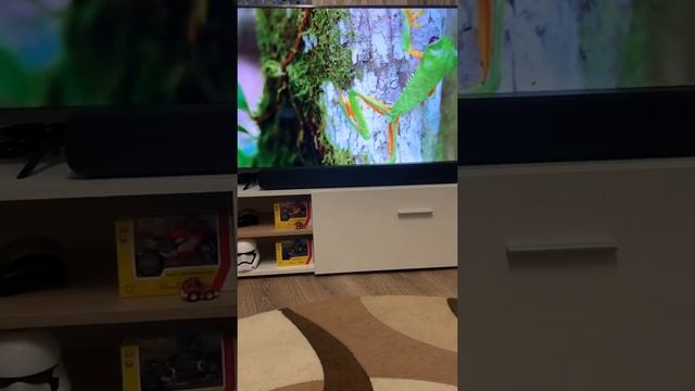 Пример видео на телевизоре Xiaomi TV UHD 4S 50" International + Саундбар Xiaomi Mi TV Audio Speaker смотреть онлайн