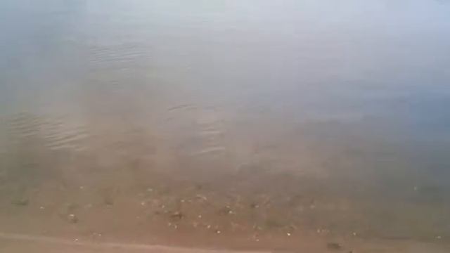 Ока возле Стригинского моста смотреть онлайн