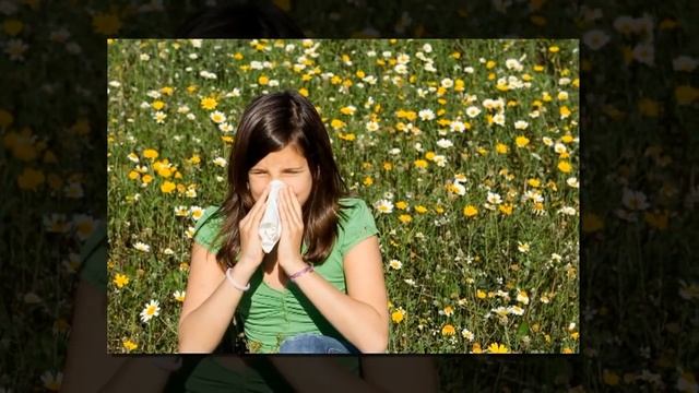 ОТКУДА БЕРУТСЯ СОПЛИ. Как вылечить насморк? смотреть онлайн