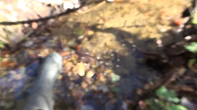 По тихому мою золото минишлюзом! Шлюз снова в деле!!! смотреть онлайн