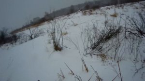 Охота на бобра с ружьём. Сказочное везение!