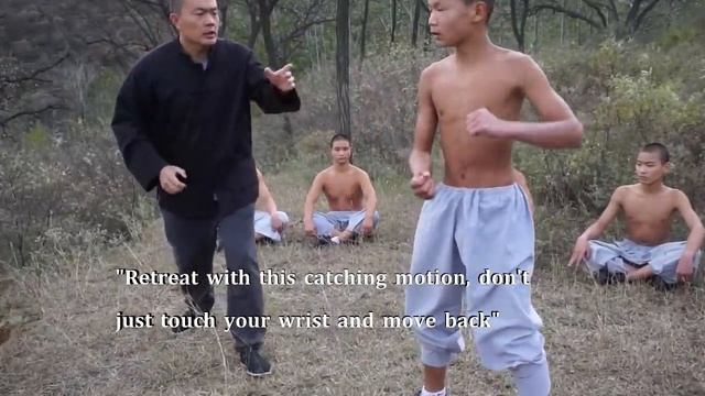 Shaolin Xinyiba - Traditional Xiao Hong Quan & Gongfa (skill methods) tutorial смотреть онлайн