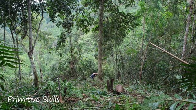 Nomadic Lifestyle, Find New Lands, Expand The Garden To Grow Food Crops | Primitive Skills (ep 171)