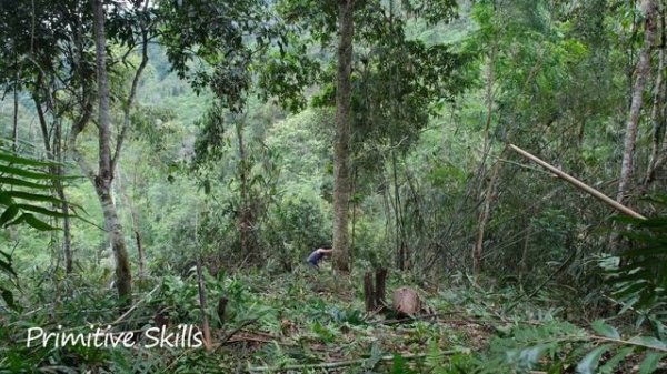 nomadic lifestyle, find new lands, expand the garden to grow food crops | primitive Skills (ep 171)