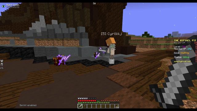 The Hypixel Pit's Newest Duplication Glitch Follow-up [PATCHED] смотреть онлайн
