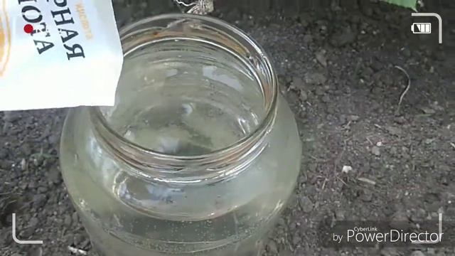 Огурцов будет много!Супер способ повышения урожайности огурцов! смотреть онлайн