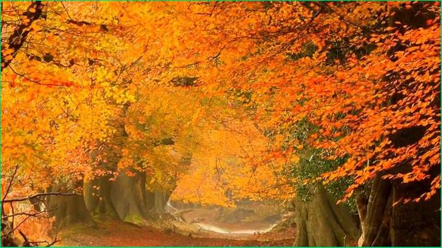 Beautiful Relaxing Music - Stop Overthinking, Stress Relief Music, Sleep Music, Calming Music 2016 смотреть онлайн