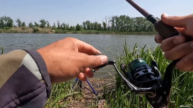 Проверил дикарь, рыбы много, есть и бонусы, рыбалка на фидерную снасть, поймать карася, клёв рыбы смотреть онлайн