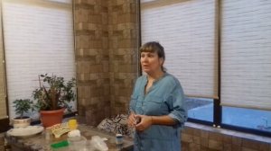 Инфекционный стоматит у кролика. Мокрая мордочка. Как я лечила кроликов