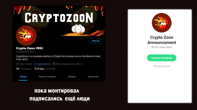 ? CRYPTO ZOON — Обзор проекта смотреть онлайн