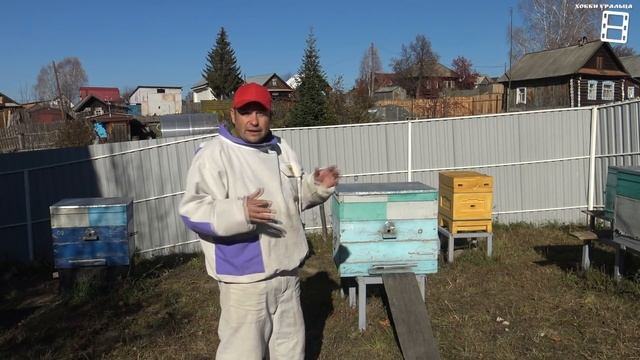 КАК ПРОСТО ОРГАНИЗОВАТЬ ПОСЛЕДНИЙ ОБЛЕТ ПЧЕЛ ОСЕНЬЮ? ДЛЯ НАЧИНАЮЩИХ ПЧЕЛОВОДОВ 32-21 смотреть онлайн