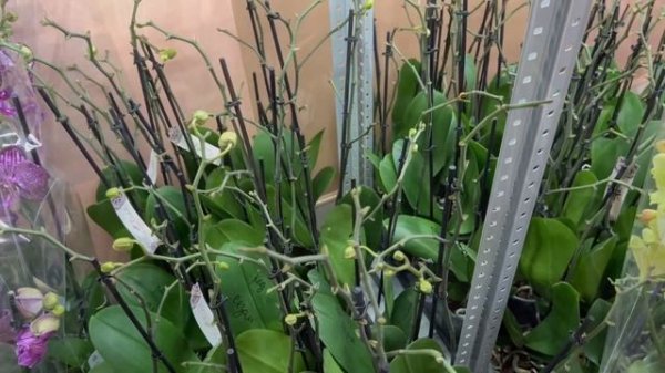 В гости к @zeboorhids  - обзор поставки!!!