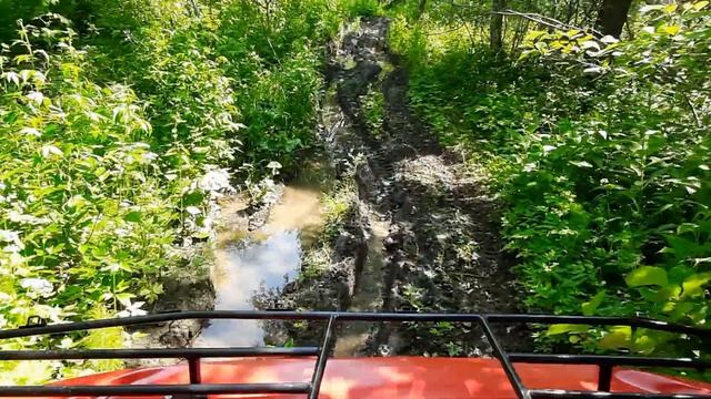 Болотоход.4*4. Хантер.Сокол.Росомаха.Ободрыши низкого давления.Вспугнули лося. смотреть онлайн