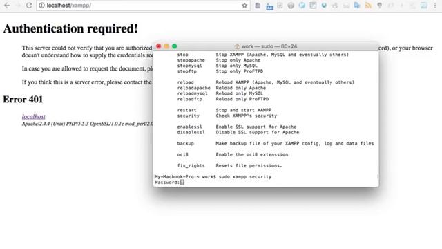 How to reset xampp localhost password смотреть онлайн