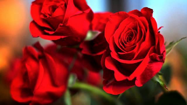 Слушать свежую русскую песню для авто онлайн смотреть онлайн