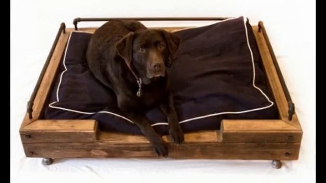 Красивые лежанки для собак смотреть онлайн