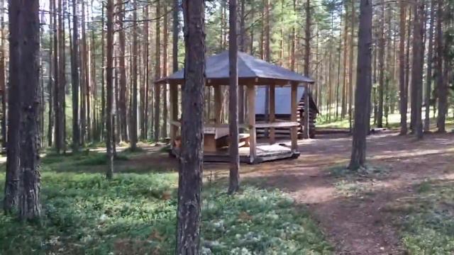 Национальный парк Паанаярви день отъезда смотреть онлайн