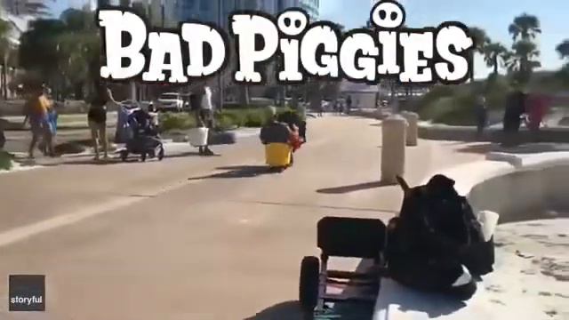 Bad piggies in a nutshell смотреть онлайн