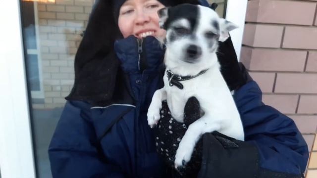 Обзор на собаку чихуахуа. Крещенские морозы в Кстово. Отдыхаем в морозные выходные. смотреть онлайн