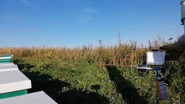 Обработка пчёл дым-пушкой смотреть онлайн