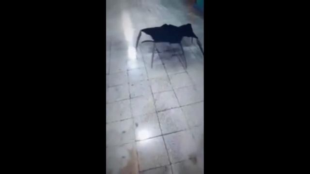 хаттабка зависла на лабе смотреть онлайн