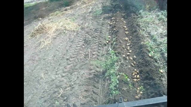 Копка картошки плугом смотреть онлайн