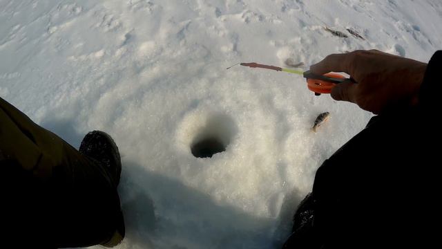 ВОТ И РЯДОМ РЫБА ПОЯВИЛАСЬ!НАДЕРГАЛ СОБАЧКЕ! смотреть онлайн